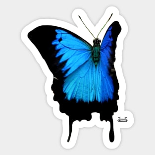 Morpho Butterfly Sticker